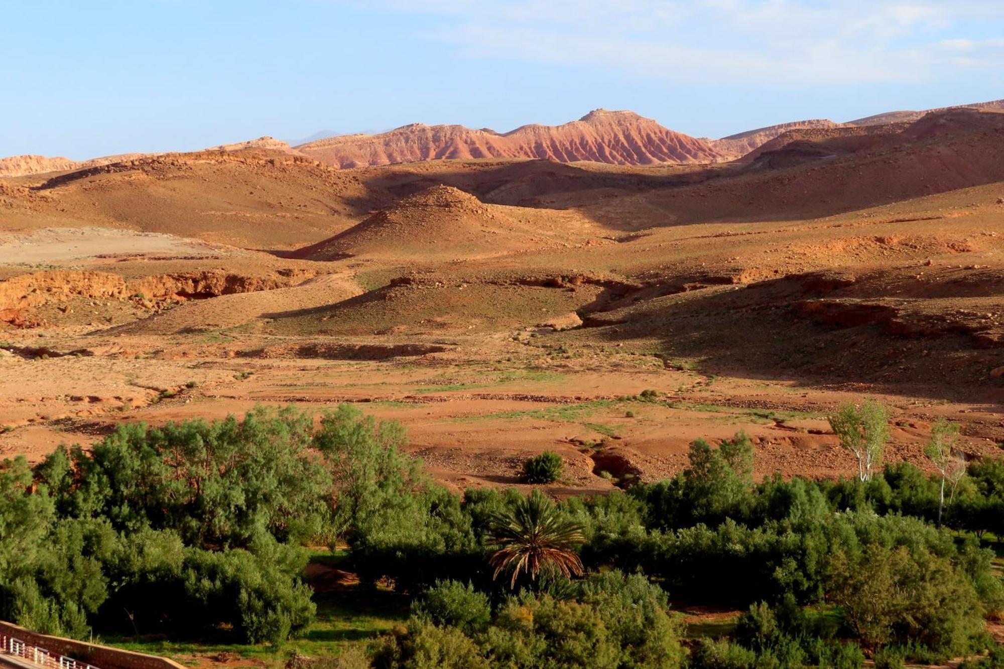 Tigmi Hamid Decouverte Des Traditions Et De La Culture Berbere Aït Benhaddou Dış mekan fotoğraf