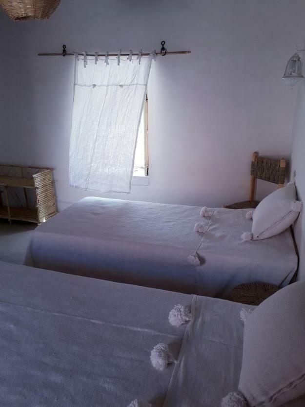 Tigmi Hamid Decouverte Des Traditions Et De La Culture Berbere Aït Benhaddou Dış mekan fotoğraf